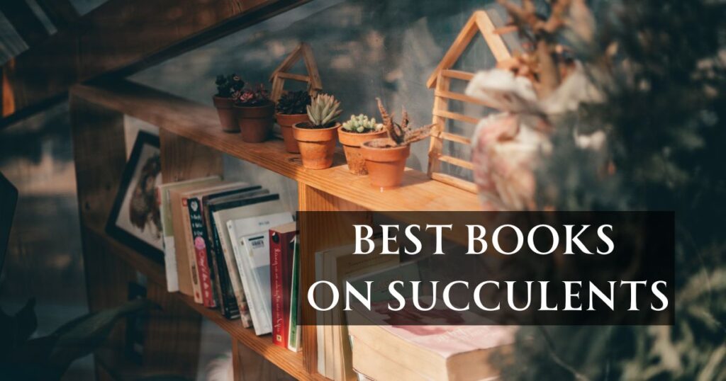 Best Books On Succulents