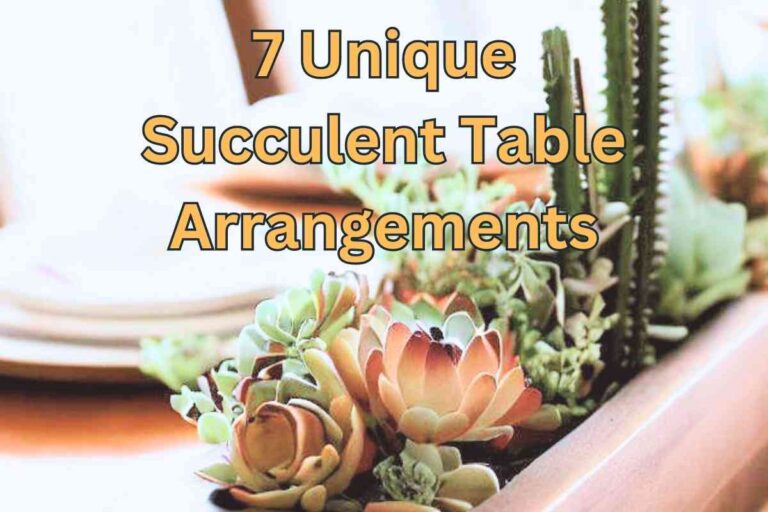 7 Unique Succulent Table Arrangements