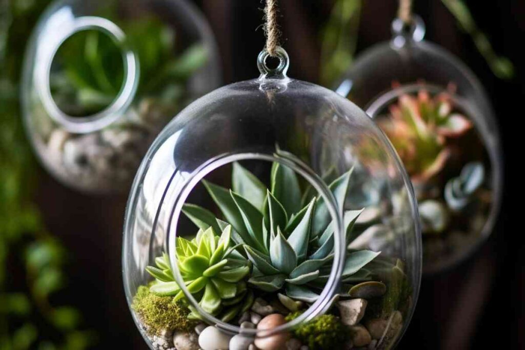 How to Make a Hanging Terrarium for Succulents: Step-by-Step Guide ...