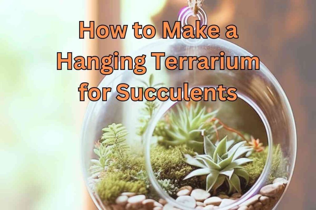 How To Make A Hanging Terrarium For Succulents Step By Step Guide 8785