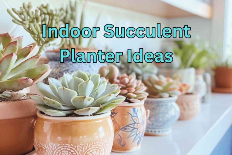 Indoor Succulent Planter Ideas: Stylish and Low-Maintenance Options for Your Home