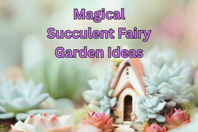 Magical Succulent Fairy Garden Ideas