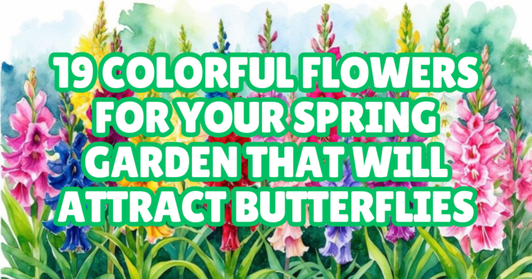 19 Colorful Flowers for Your Spring Garden That Will Attract Butterflies