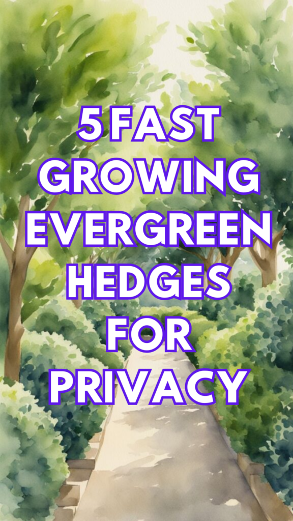 5 Fast Growing Evergreen Hedges for Privacy