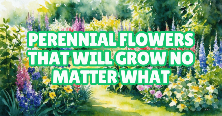 A garden bursting with colorful perennial flowers in full bloom